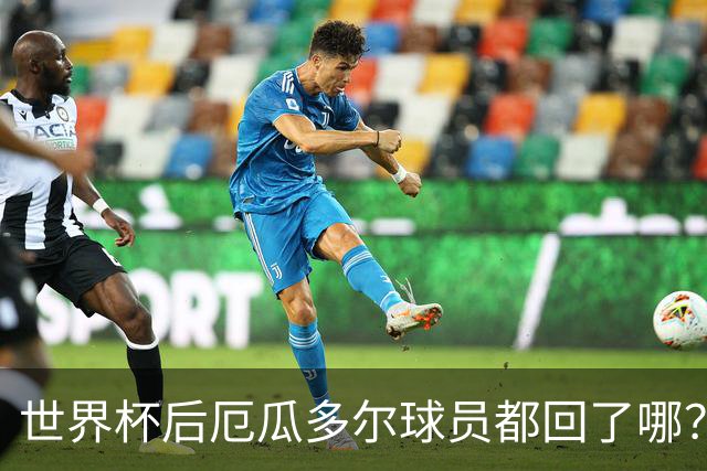 世界杯后厄瓜多尔球员都回了哪？输给墨西哥后他们各归其主