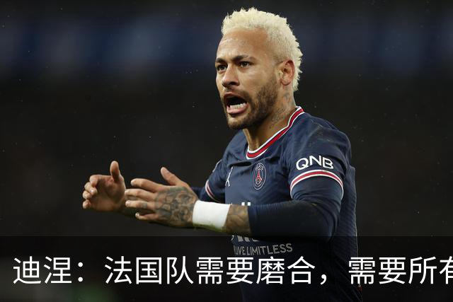 迪涅：法国队需要磨合，需要所有人步调一致